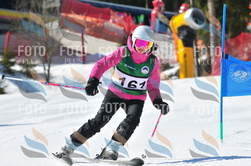 C4134 | holidayphoto