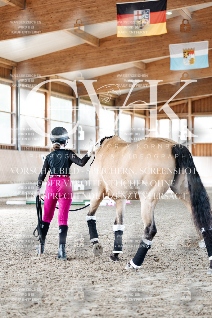 CK905408 | Turnierfotografie Pferdefotografie Trier Rheinland-Pfalz Pferdesport Reitsport Tierfotografie Sportfotografie Pferdevideo Pferdevideografie Equestrianvideography equestrianphotography  - Realisiert mit Pictrs.com