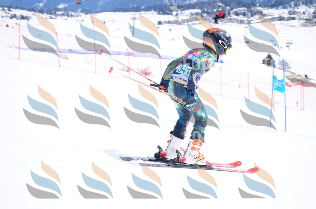 DSC_3288 | holidayphoto