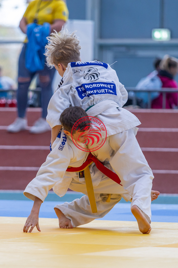 Internationaler Adler Cup 2024 | Foto vom Internationalen Adler Cup Judo Turnier im Sport- und Freizeitzentrum Kalbach im Oktober 2024 - Realisiert mit Pictrs.com