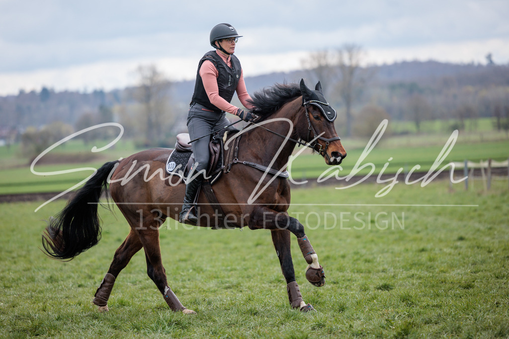 20260329-_3LI5266 | Tierfotografie Pferde, Hunde, Katzen, Haustiere.
Turnierfotografie Reitturniere, Reiten, Springreiten, Dressur in Hanau, dem Main-Kinzig-Kreis und dem Rhein-Main- Gebiet um Frankfurt