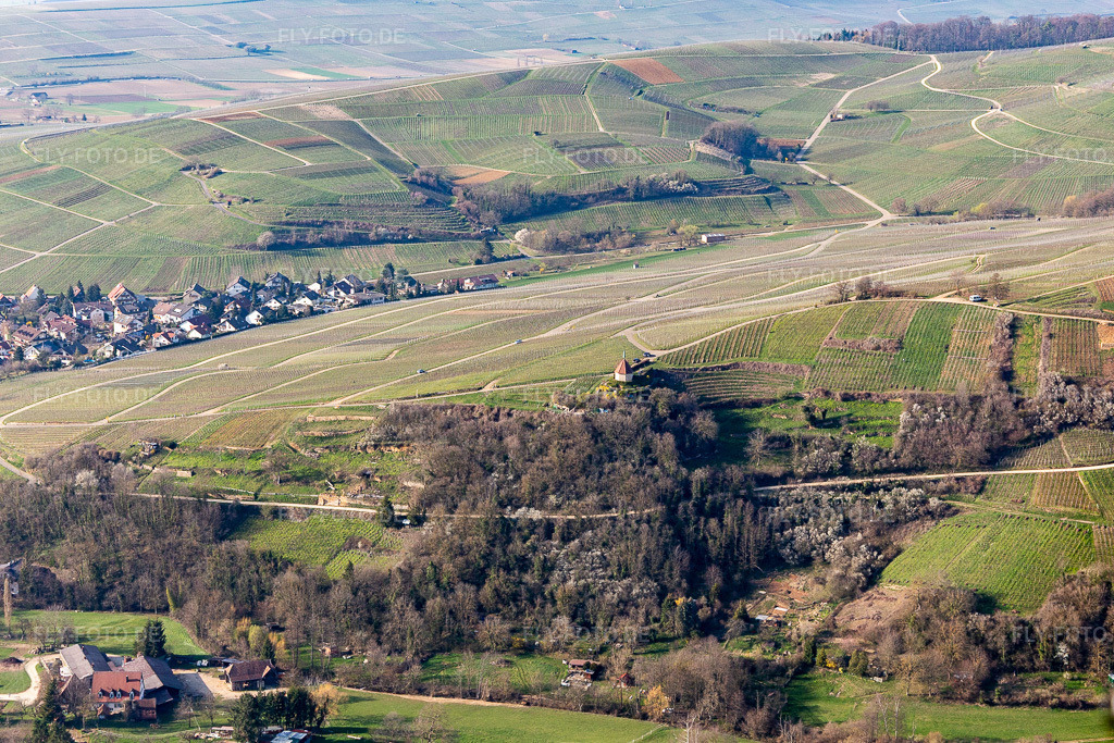 Luftbild: Ölbergkapelle im Ortsteil Ehrenstetten in Ehrenkirchen im Bundesland Baden-Württemberg in Deutschland. Foto: IMG_112991.jpg vom 22.03.2019 durch Werner Riehm/FLY-FOTO.de
