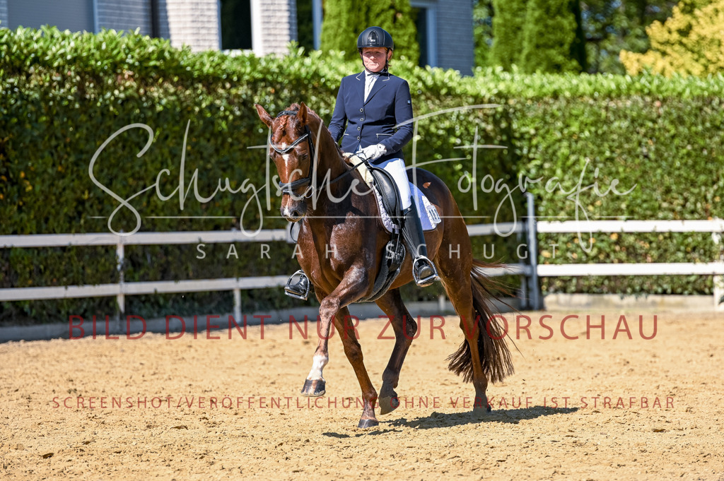 Schugtsche-Aluta25-50.Dressurpferdeprf.L-83 | Schugtsche Fotografie - Realisiert mit Pictrs.com