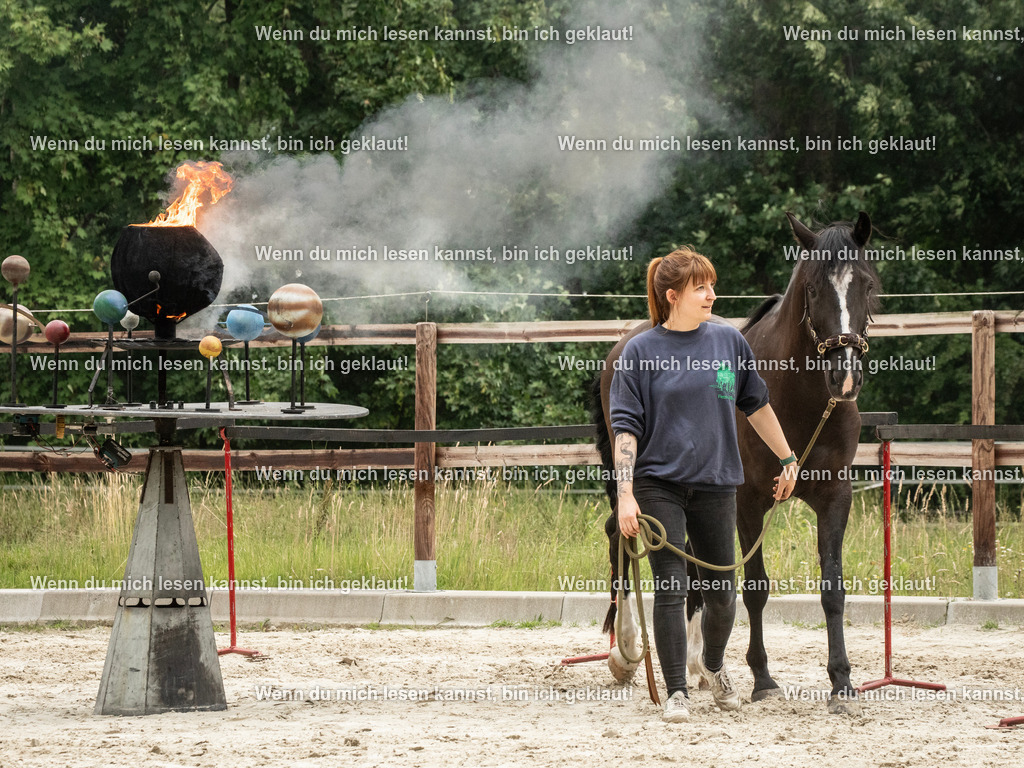 598A8164 | photographylinaismer - Realisiert mit Pictrs.com