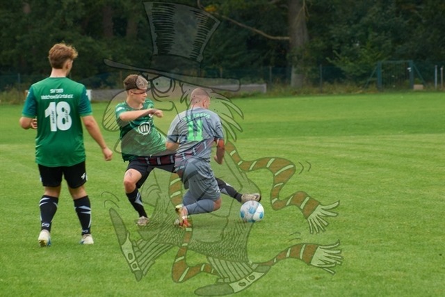 SpG Freya Marienwerder-Union Klosterfelde III vs. SpG Biesenthal-Grüntal II 190 | mythos-online-redaktion