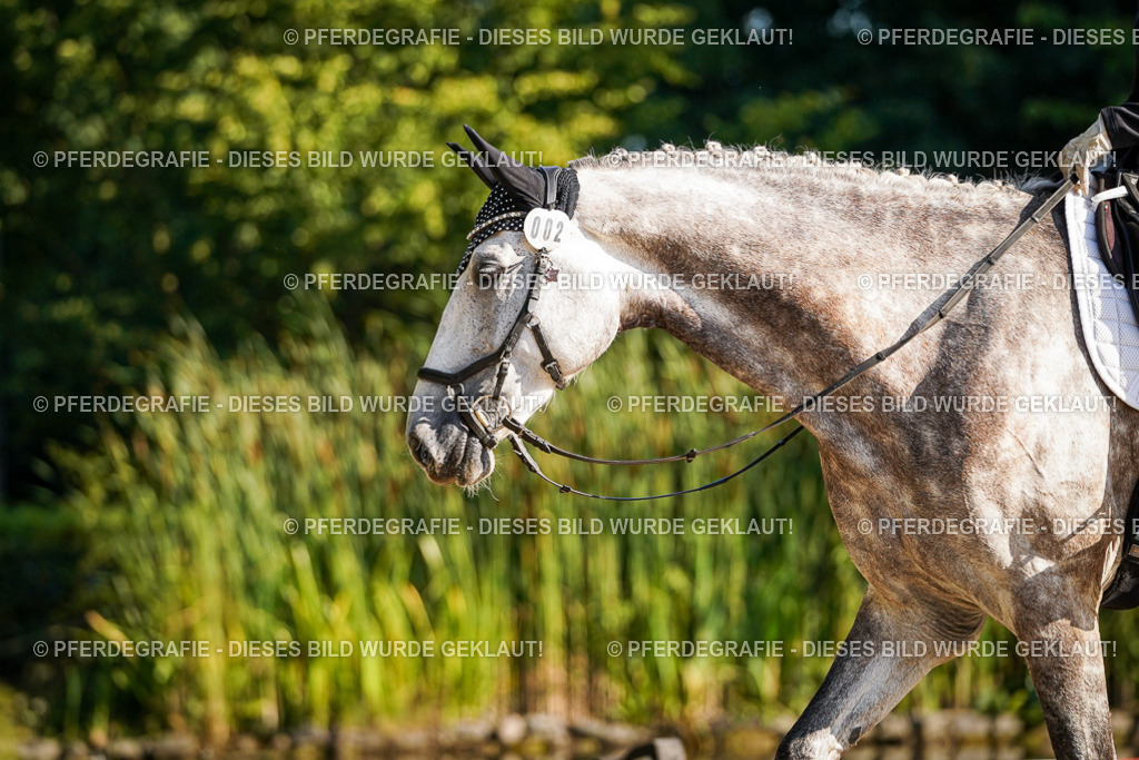 DSC08613 | Pferdegrafie