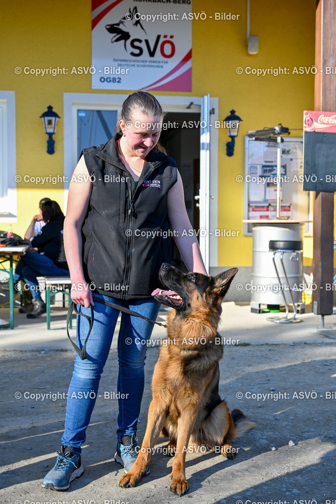ASVÖ_ Tracking Dog World Championship 2025_ 03.04.2025-15 | 03.04.2025, AUT, ASVÖ, Tracking Dog World Championship // FCI IGP Fährtenhundeweltmeisterschaft 2025©fodo.media / Harald Dostal - Realisiert mit Pictrs.com