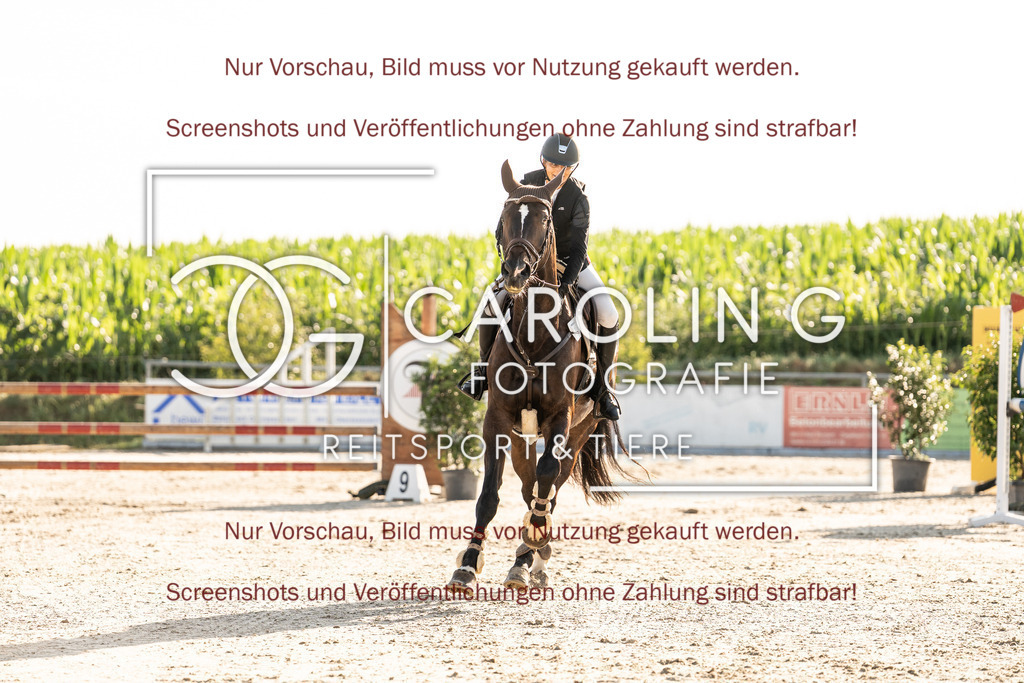 DSC05836 | Turnierfotografin Carolin Gieschke, Turnierfotografie Carolin G Fotografie, Turnierfotos Kirchheim/Teck, Esslingen, Stuttgart, Bodenseekreis