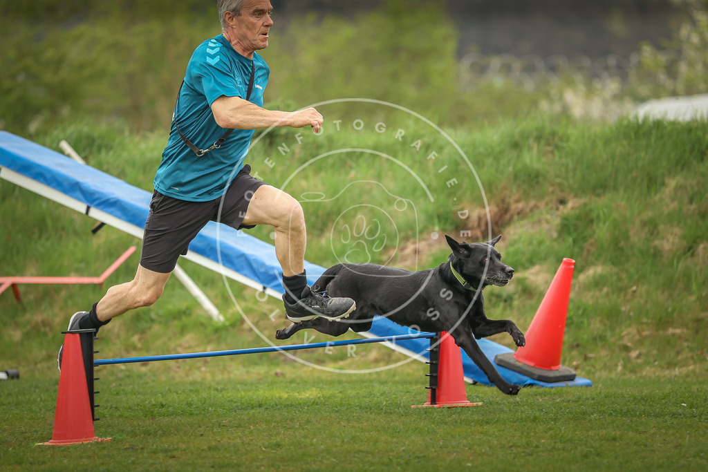 Pfotenfotografie_0L8A0609 | Hundefotografie, Tierfotograf, Pfotenfotografie, Fotoshooting Hund, Hunde Portrait, Hundesport, Hundeportraits, Heideshooting, Hunde, Sportfotograf, Hundefotograf, Turnierhundsport, THS,  - Realisiert mit Pictrs.com