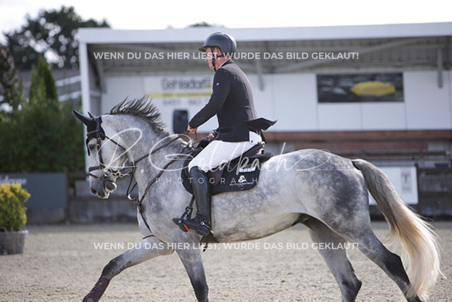 1J2A6300Klas-Kristoff Kudlinski_ Steendieks Dear Lenny_ Kn915_ Havekost | Foto- und Videografie für alles rund ums Pferd. Hochwertige Bilder und Videos vom Spring- und Dressurreiten, Voltigieren & mehr. Jetzt aktuelle Veranstaltungen und Preise im Shop ansehen. - Realisiert mit Pictrs.com