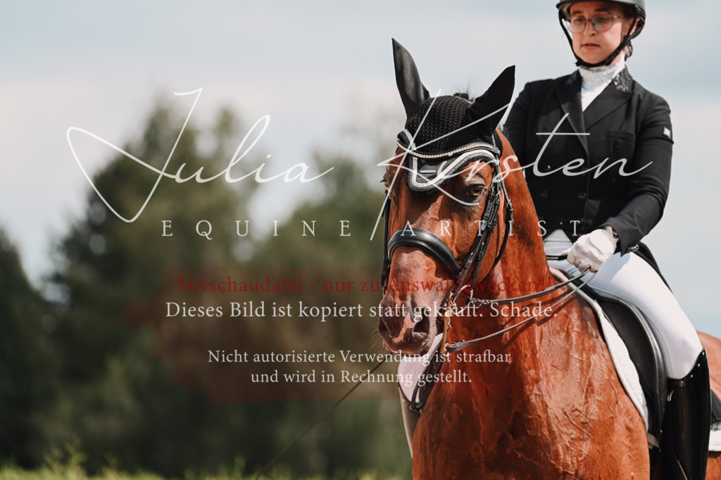 DSC_4360 | Pferde- und Turnierfotografie in Westsachsen. Pferdeportraits, Auftragszeichnungen und intuitive Kunst.