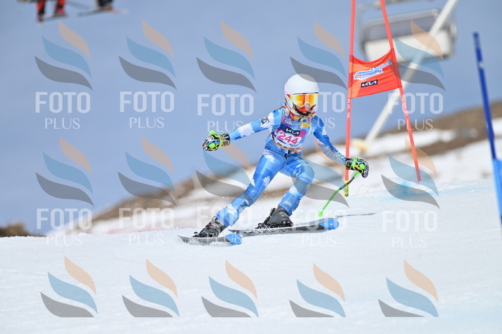 BGV_1770 | holidayphoto