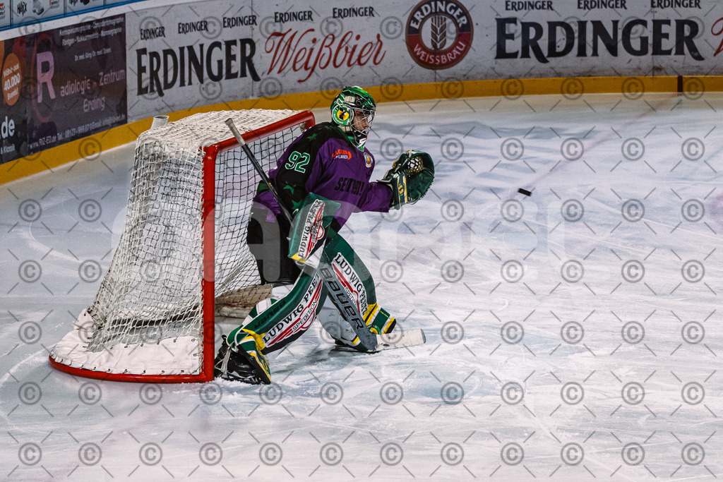 Erding_vs_Alligators_02_01_2026-08 | Höchstadt Alligators Fotogalerie: Eishockey-Action aus Franken. Professionelle Spielfotos, Portraits & Stadionbilder zum Download. Jetzt entdecken! - Realisiert mit Pictrs.com