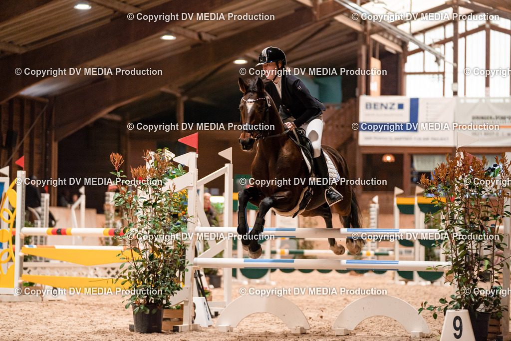 Springen Tag 3-069 | dv-media-shop - Realisiert mit Pictrs.com