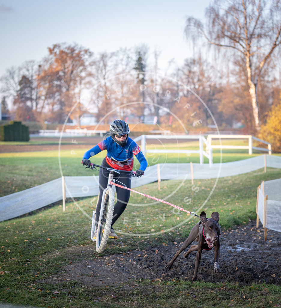 CaniXpix_DV3A9346 | Hundefotografie, Tierfotograf, Pfotenfotografie, Fotoshooting Hund, Hunde Portrait, Hundesport, Hundeportraits, Heideshooting, Hunde, Sportfotograf, Hundefotograf, Turnierhundsport, THS,  - Realisiert mit Pictrs.com