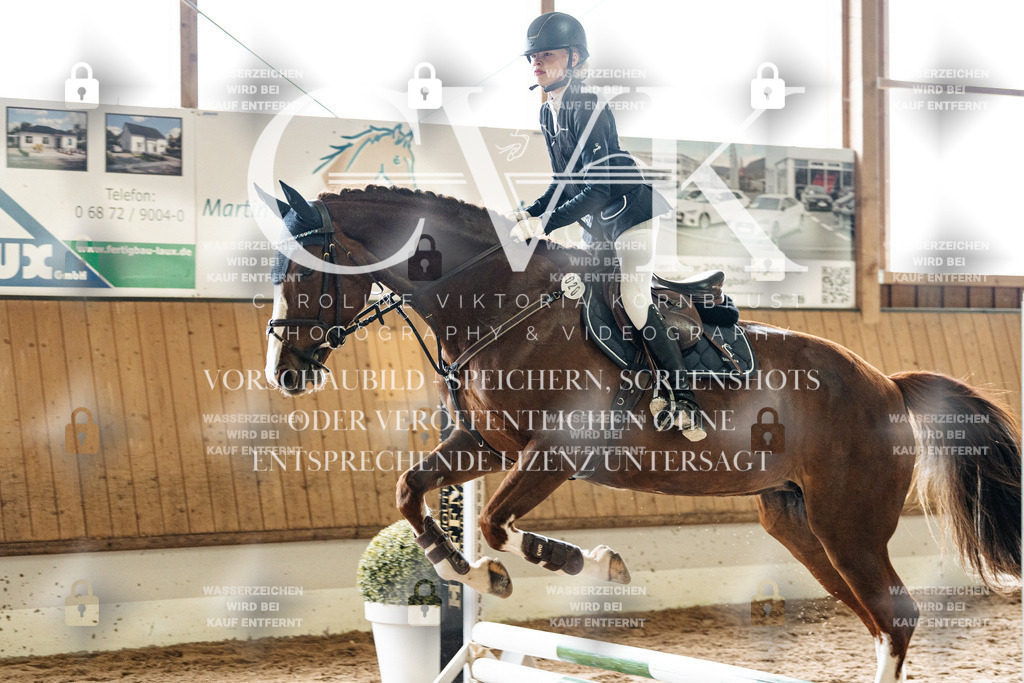 CK902597 | Turnierfotografie Pferdefotografie Trier Rheinland-Pfalz Pferdesport Reitsport Tierfotografie Sportfotografie Pferdevideo Pferdevideografie Equestrianvideography equestrianphotography  - Realisiert mit Pictrs.com