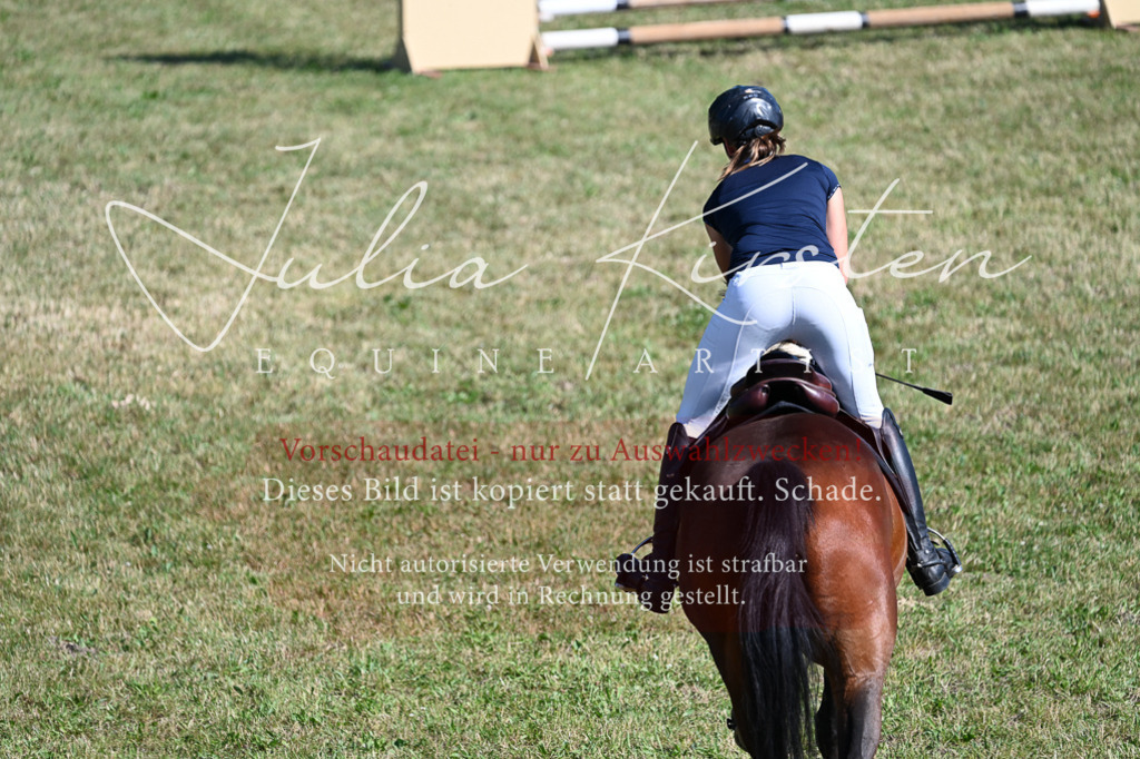 DSC_2044 | Pferde- und Turnierfotografie in Westsachsen. Pferdeportraits, Auftragszeichnungen und intuitive Kunst.