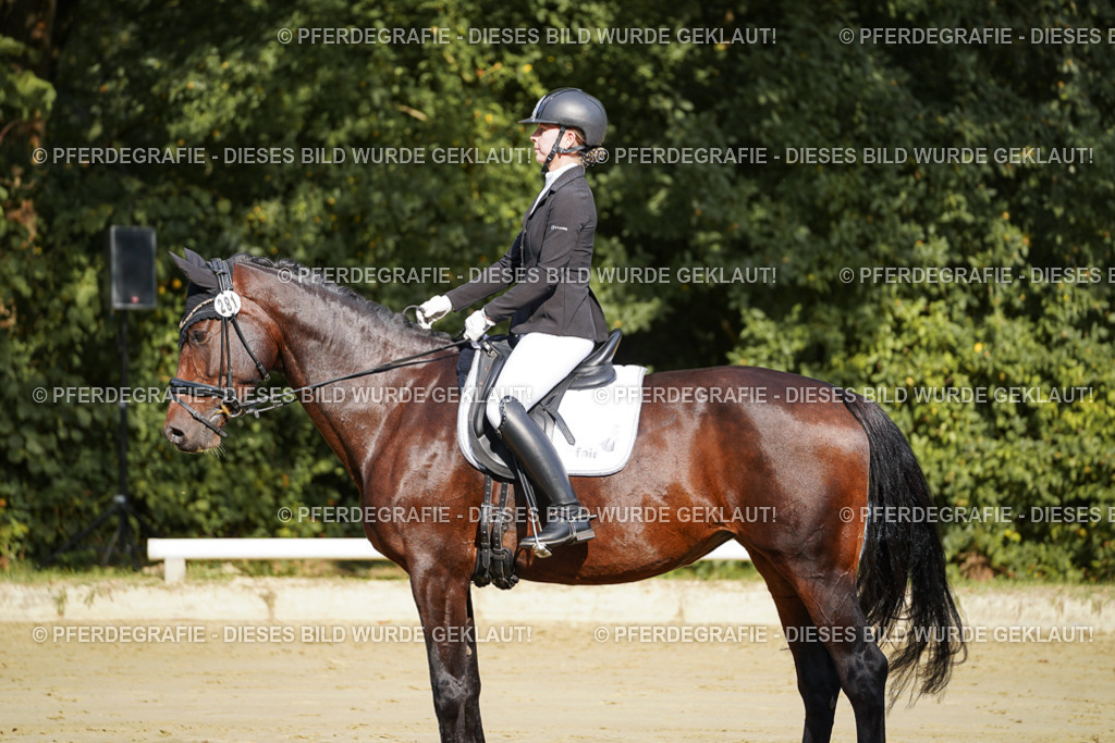 DSC07950 | Pferdegrafie