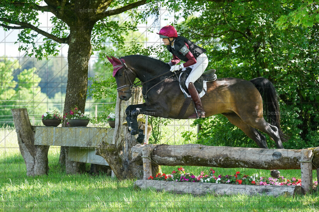 20240518-FAH04114 | Turnierbilder von Niederseon, Turnierfotografen Bayern, Fotoagentur Herrmann, Geländebilder, Reitsportfotografie