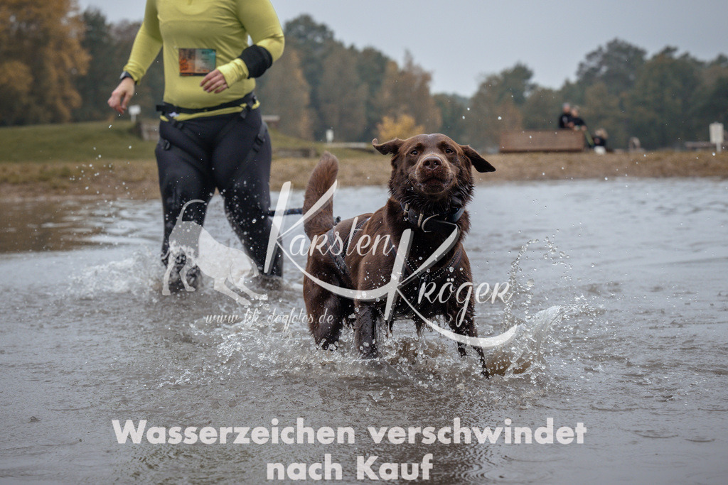 1047_ZZ91404 | kk-dogfotos