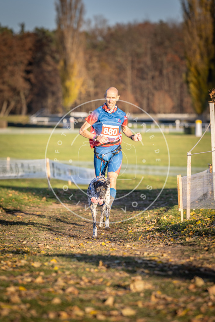 CaniXpix_DV3A4304 | Hundefotografie, Tierfotograf, Pfotenfotografie, Fotoshooting Hund, Hunde Portrait, Hundesport, Hundeportraits, Heideshooting, Hunde, Sportfotograf, Hundefotograf, Turnierhundsport, THS,  - Realisiert mit Pictrs.com