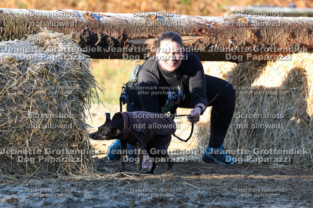 Dog Paparazzi - Strongdog 10-25-721 | Dog Paparazzi Jeanette Grottendiek Fotografie & Videografie - Realisiert mit Pictrs.com