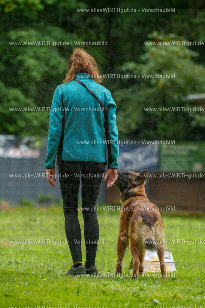 @allesWIRTHgut_Tierfotografie - www.allesWIRTHgut.de - 102225-7R508422 | Professionelle Tierfotografie in Mönchengladbach von Daniel Wirth (allesWIRTHgut). Liebevolle & natürliche Bilder von Hunden & Katzen für unvergessliche Erinnerungen.