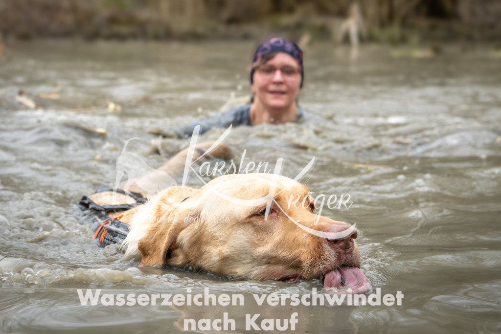 1253_ZZ92465 | kk-dogfotos