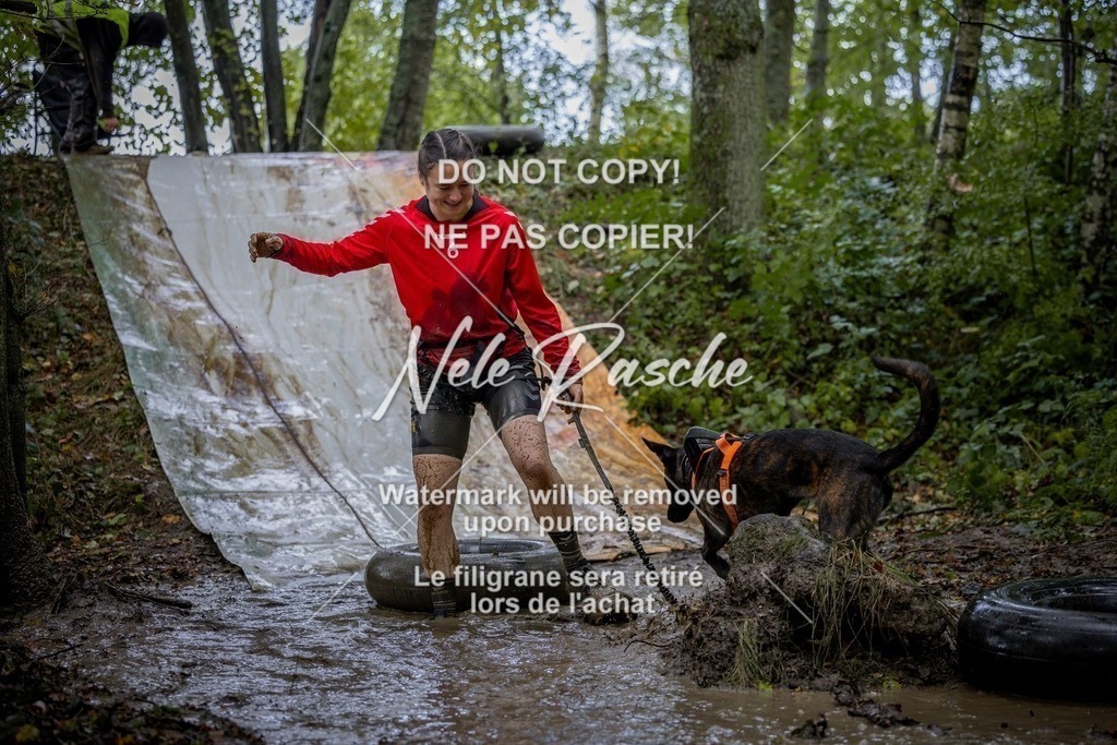 nelerasche_Hunsrück_Sa1430-1500_107-final | nelerasche