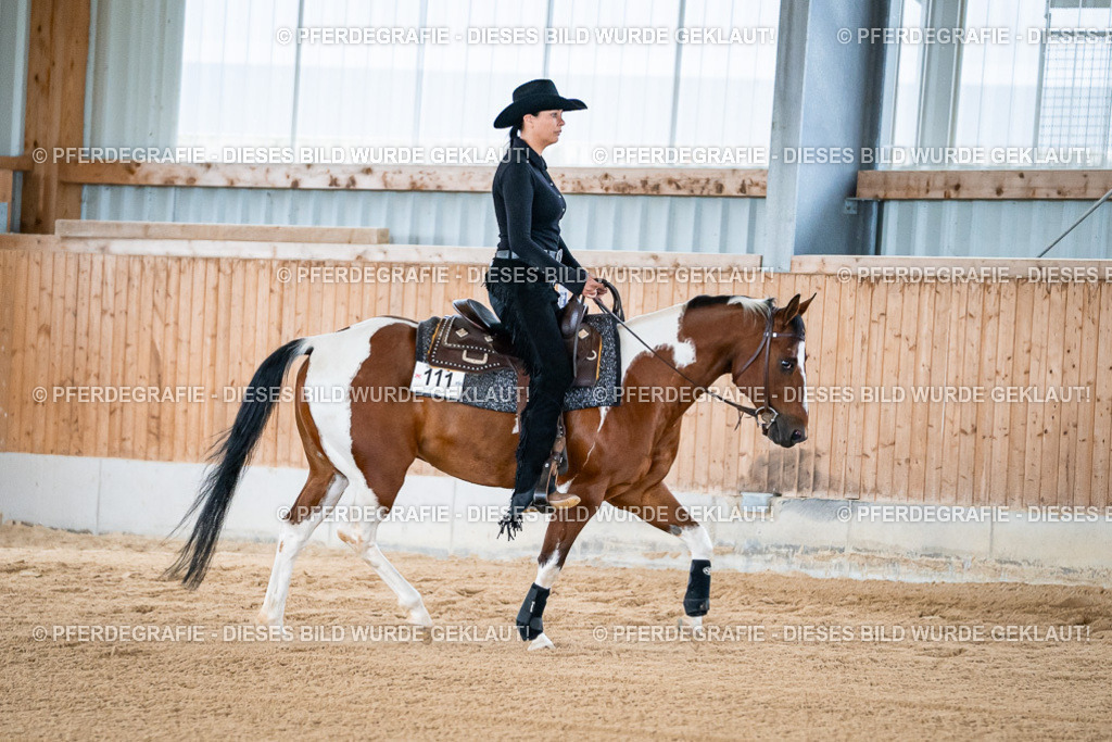 DSC08418 | Pferdegrafie