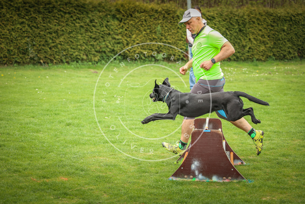 Pfotenfotografie_0L8A9824 | Hundefotografie, Tierfotograf, Pfotenfotografie, Fotoshooting Hund, Hunde Portrait, Hundesport, Hundeportraits, Heideshooting, Hunde, Sportfotograf, Hundefotograf, Turnierhundsport, THS,  - Realisiert mit Pictrs.com