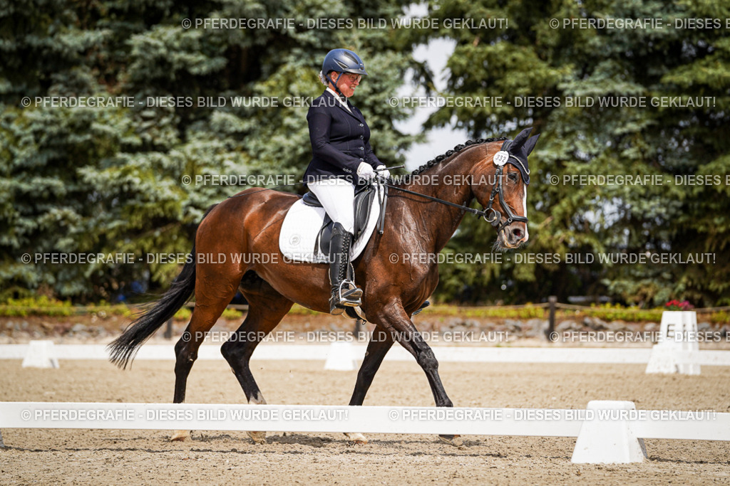 DSC03529 | Pferdegrafie