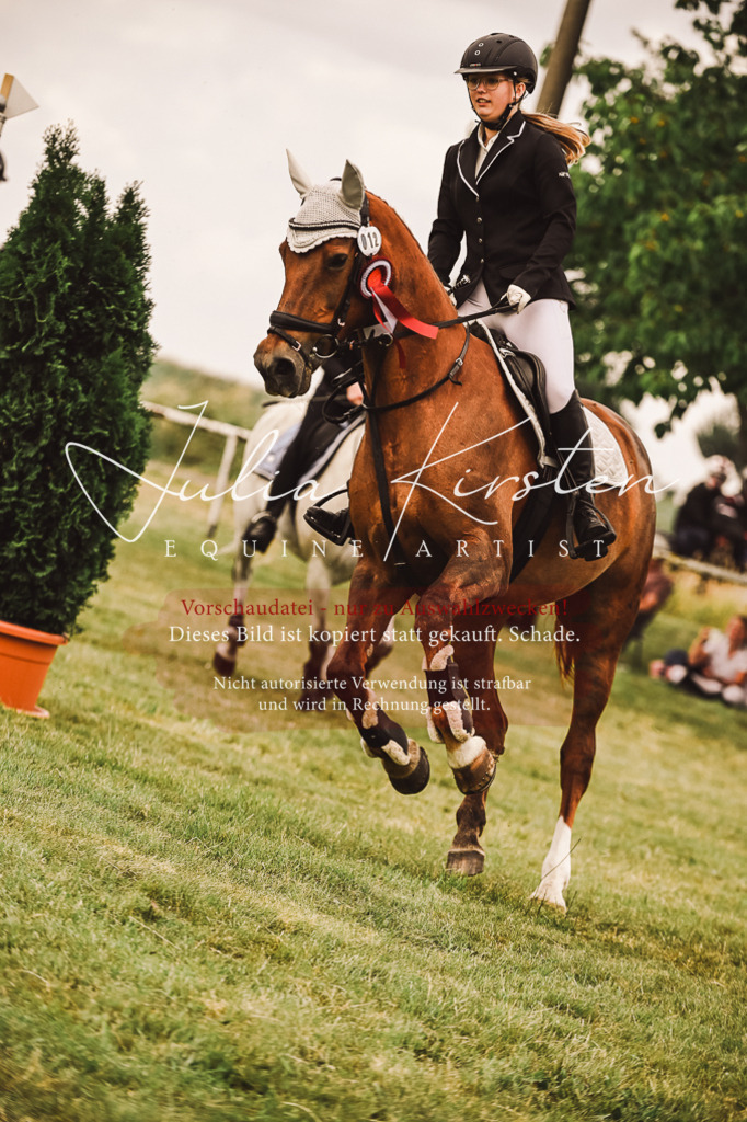 DSC_7008 | Pferde- und Turnierfotografie in Westsachsen. Pferdeportraits, Auftragszeichnungen und intuitive Kunst.