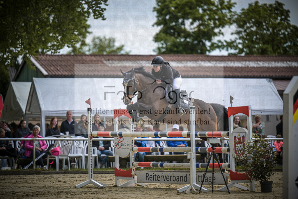 DOS_1791 | Entdecke hochwertige Reitturnierfotos von Foto Oger. Professionell, emotional und authentisch – jetzt Lieblingsmomente im Shop bestellen.Deutschlandweite Turnierfotografie. - Realisiert mit Pictrs.com