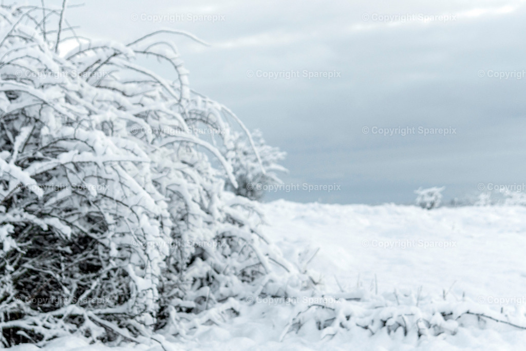 CRO_First_Snow1_Bokeh | sparepix - Realisiert mit Pictrs.com