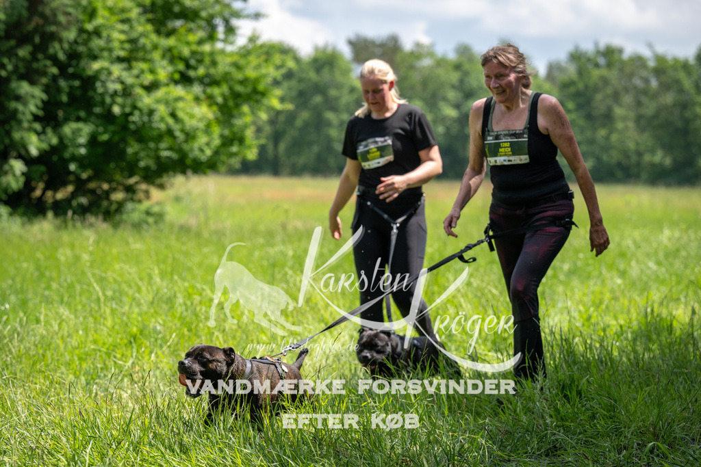 1227_ZZ92366 | kk-dogfotos