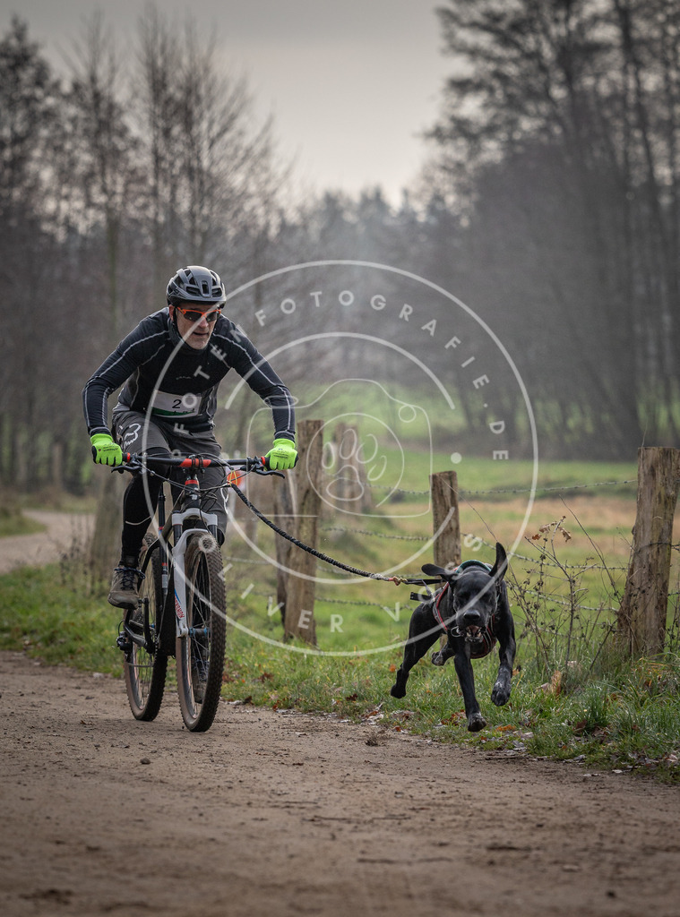 Pfotenfotografie_DV3A1510 | Hundefotografie, Tierfotograf, Pfotenfotografie, Fotoshooting Hund, Hunde Portrait, Hundesport, Hundeportraits, Heideshooting, Hunde, Sportfotograf, Hundefotograf, Turnierhundsport, THS,  - Realisiert mit Pictrs.com