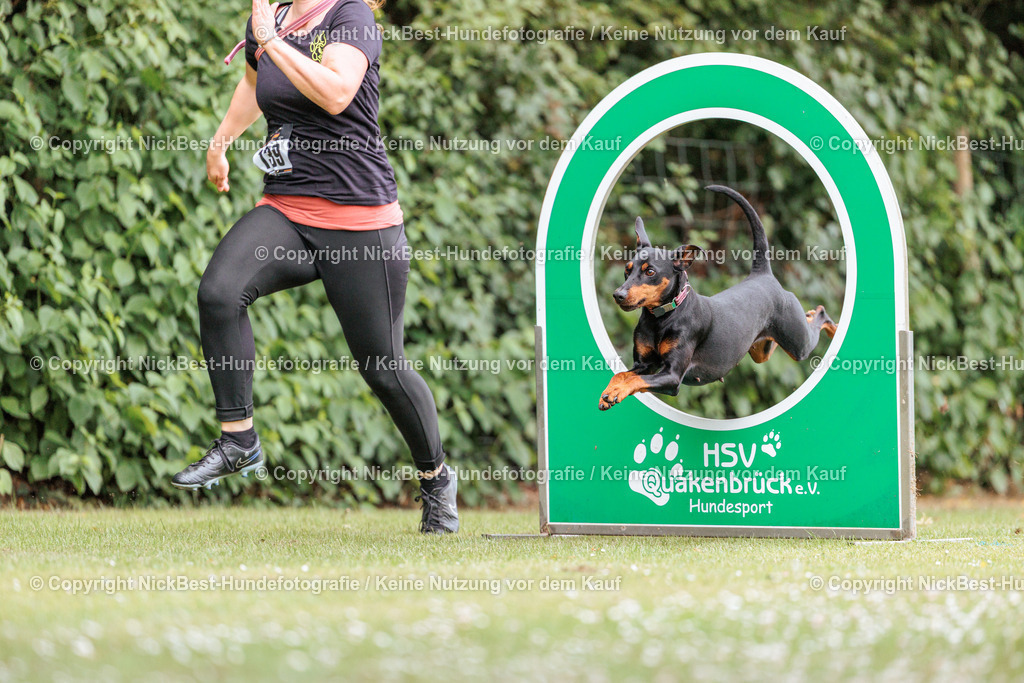 THS-Quakenbrück-2026-Nickbest-Hundefotografie-3127 | Dein Hund! Dein Moment! Deine Erinnerungen! Hundefotografie in Bremen Blumenthal. Ich fange die besonderen Momente deines Vierbeiners ein – ob Indoor mit Blitzanlage oder in der freien Natur. Sicher dir dein Moment und dein Termin für eure Erinnerungen.