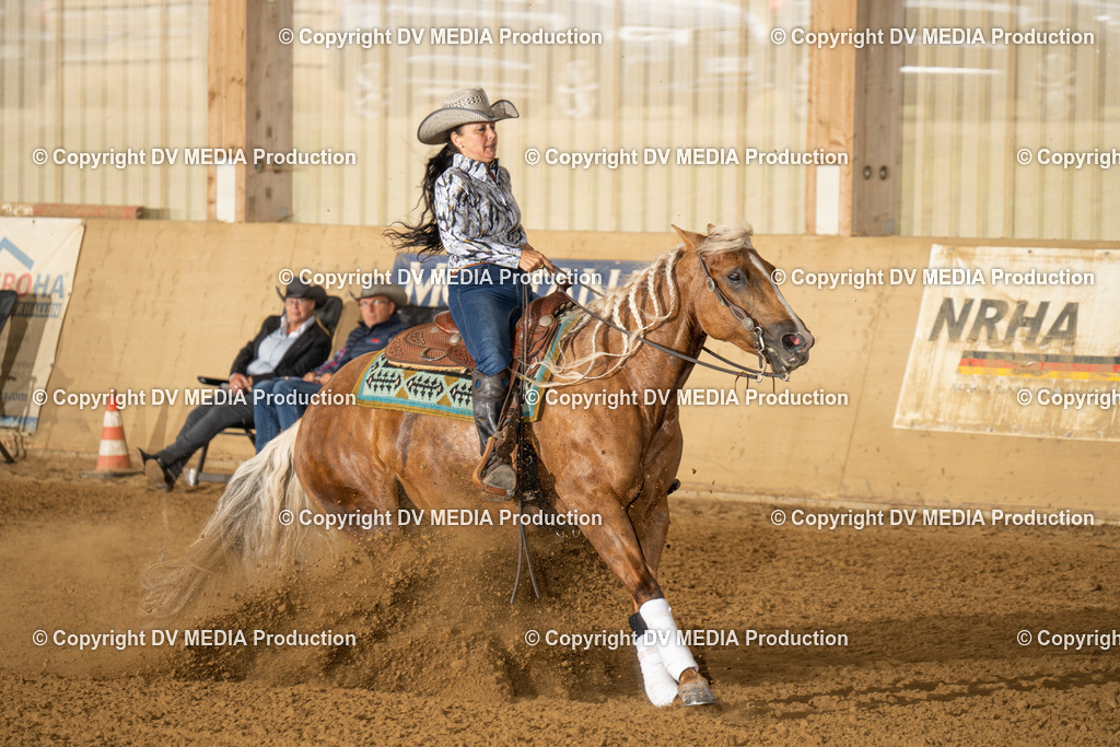 LAU01535 | dv-media-shop - Realisiert mit Pictrs.com