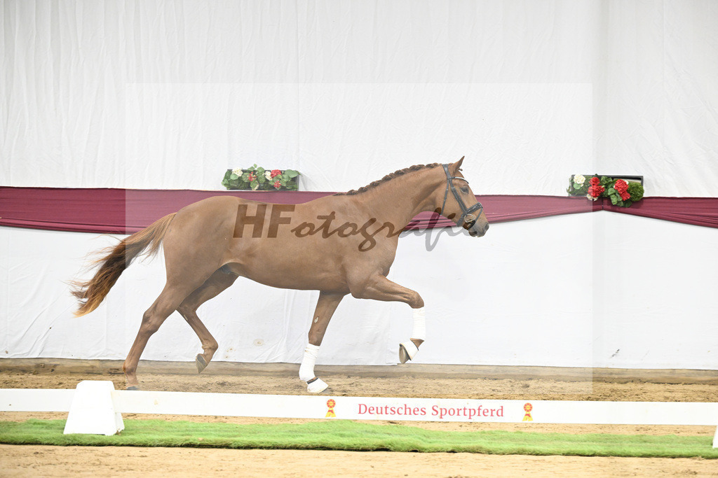 Kat-Nr. 122 Fynch Hatton x De Niro_Wolfgang Reich_47253610 | hf-fotografie - Realisiert mit Pictrs.com