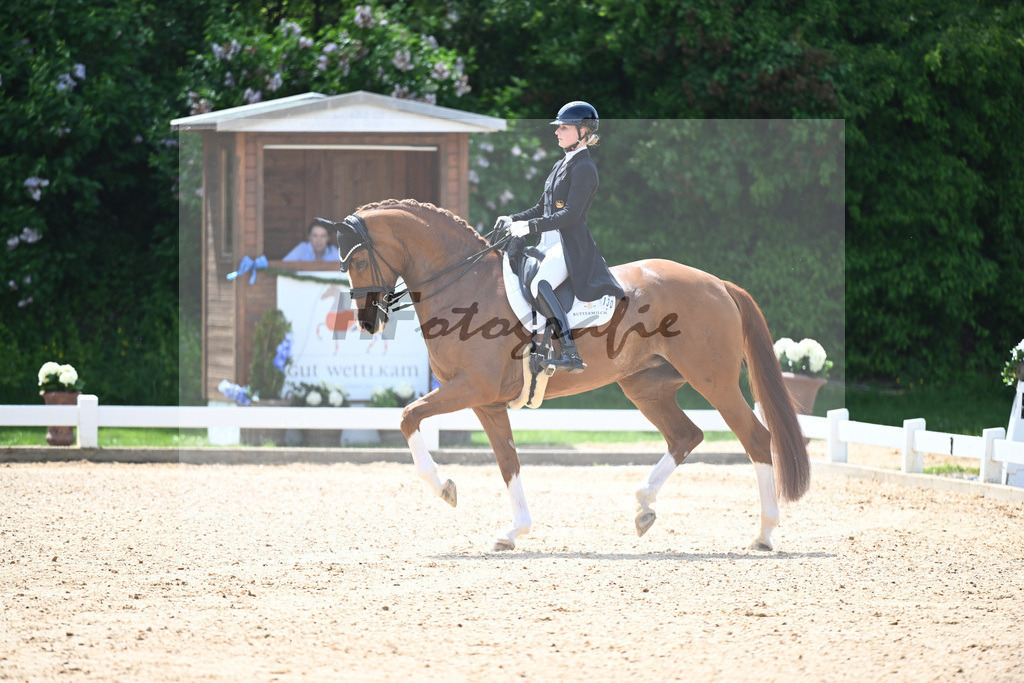 Nowag-Aulenbrock_Florine OLD_12244151 | hf-fotografie - Realisiert mit Pictrs.com