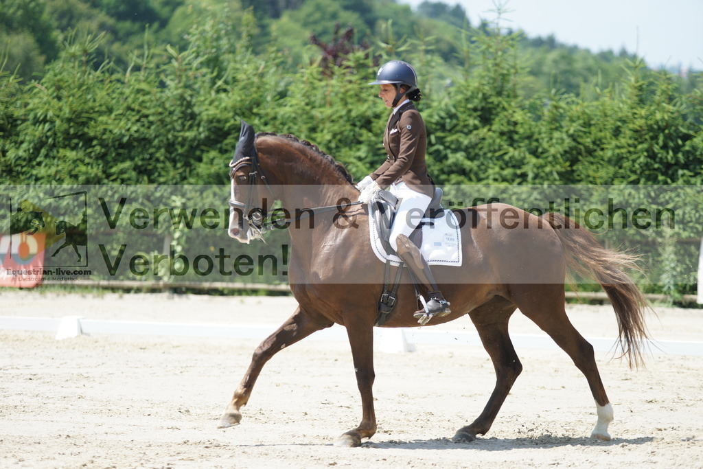 DSC05070 | equestrian-live-com