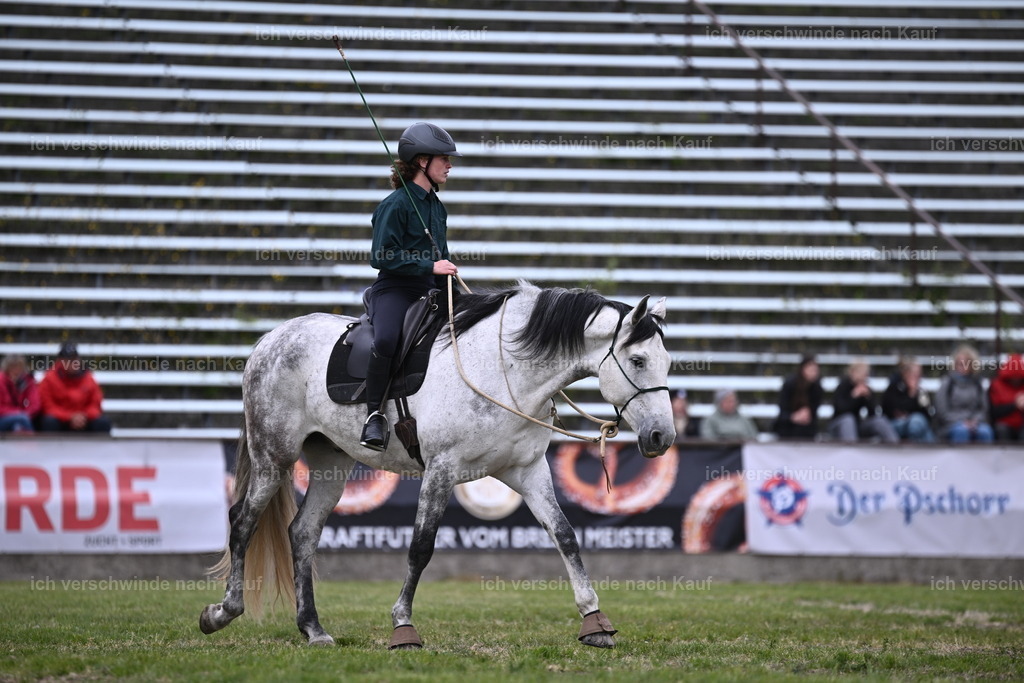 PI26_Show_Sara_Landvogt_226_1532.JPG | working equitationturnier fotograf videograf stoibphotography marixx film working equitation deutschland reitsport turnierfotografie eventfotografie equestrian events