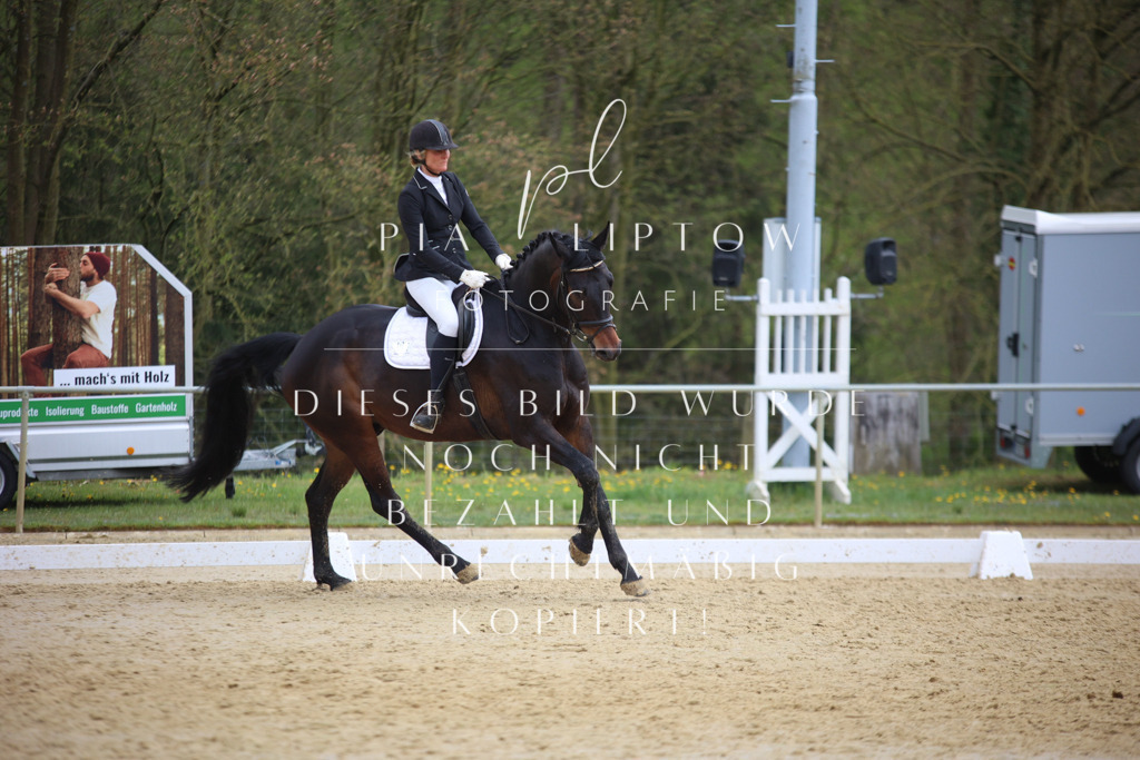 IMGT7106 | pl-fotografie