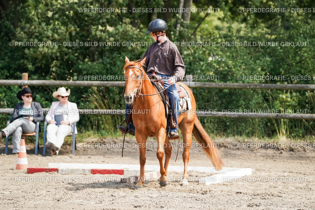 DSC07589 | Pferdegrafie