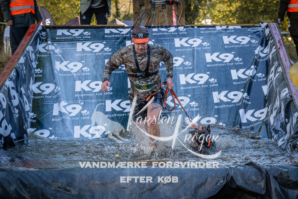 1511_ZZ94208 | kk-dogfotos