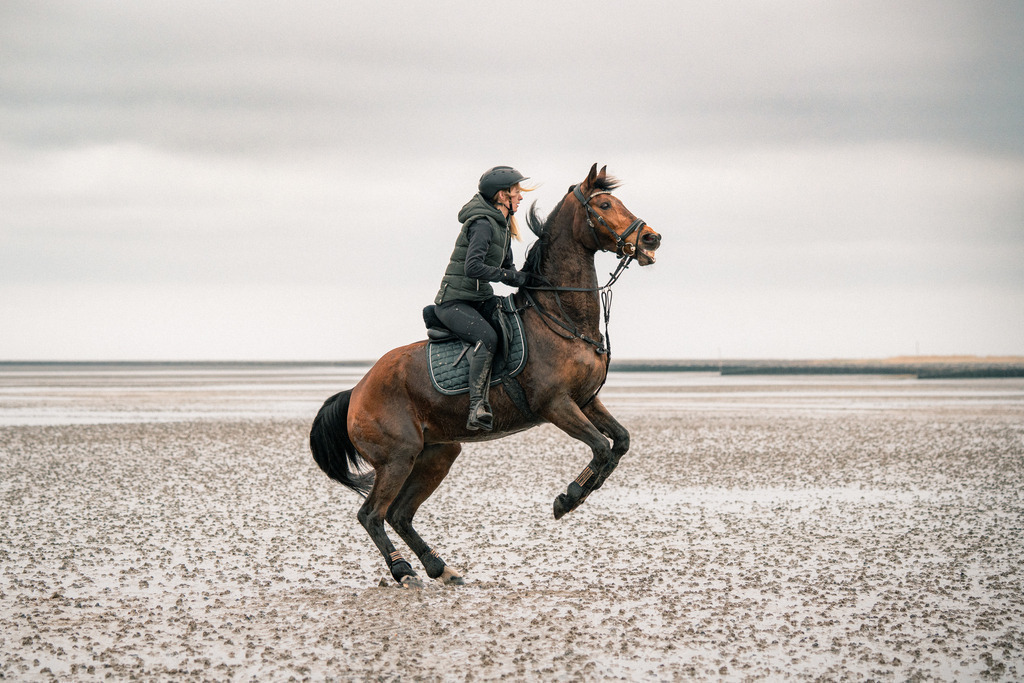 Alina x Sunny im Watt | photography by friederike - Realisiert mit Pictrs.com