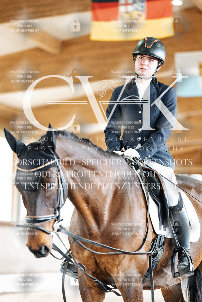 CK901786 | Turnierfotografie Pferdefotografie Trier Rheinland-Pfalz Pferdesport Reitsport Tierfotografie Sportfotografie Pferdevideo Pferdevideografie Equestrianvideography equestrianphotography  - Realisiert mit Pictrs.com