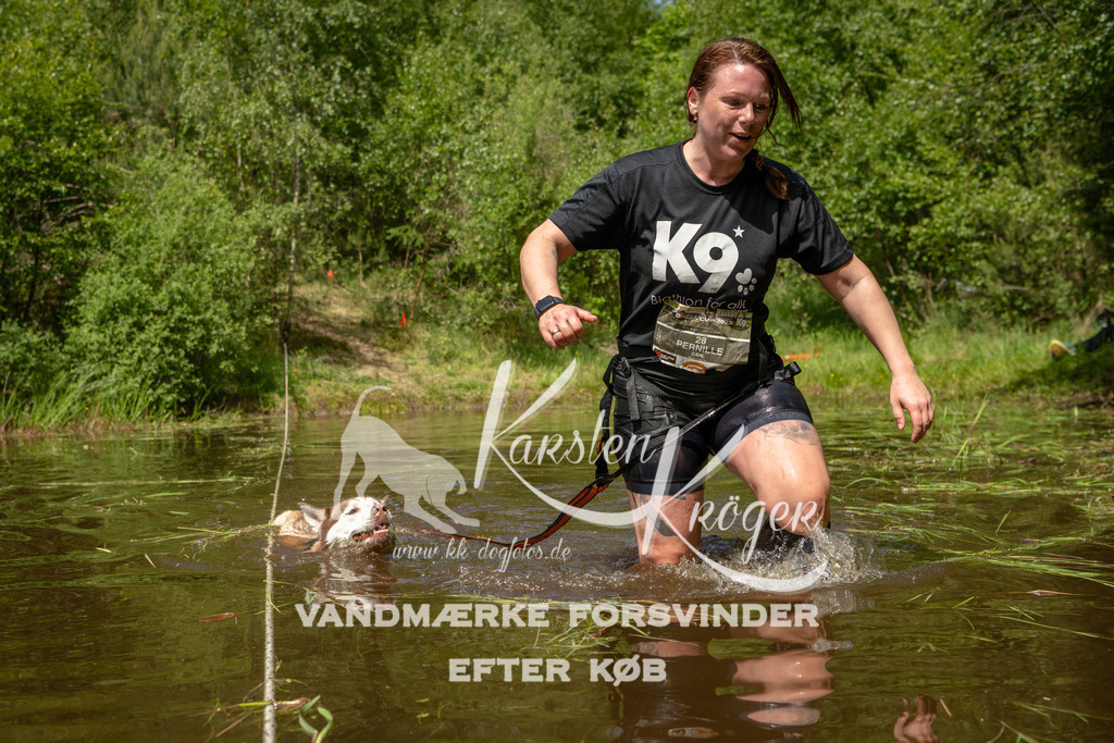 1247DKK993521 | kk-dogfotos