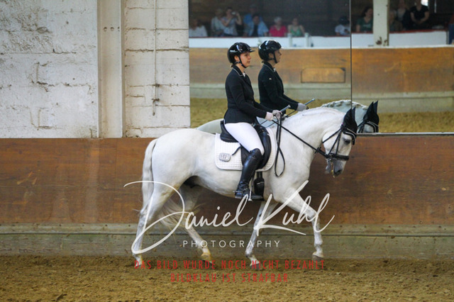 DKP43767 | Turniersportfotografie; Pferdefotografie; Dressurfotografie